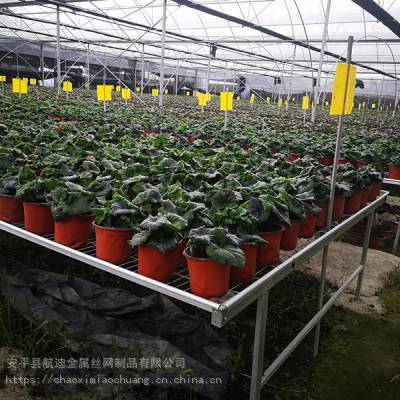 2020北方水稻移動(dòng)育苗床 金屬制品助力生產(chǎn)量提升